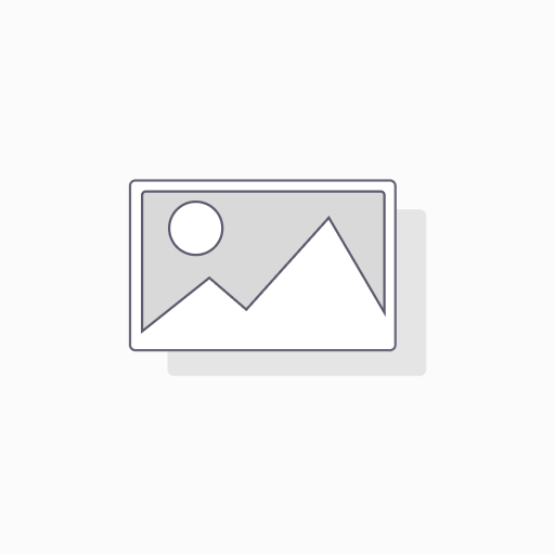 ARCGIS PRO INTERMEDIO 
